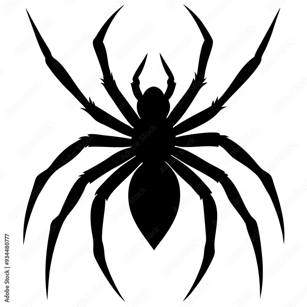 Obraz premium black and white spider