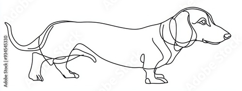 Dog line one art outline continuous pet puppy animal silhouette. Line illustration one dog drawing abstract dachshund happy sketch icon doodle simple shape white cute logo toy labrador background. photo