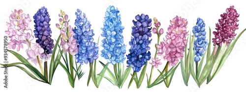 Watercolor floral arrangements featuring hyacinths suitable for greeting cards and various occasions
