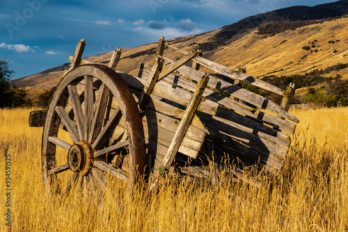 Argentina, Patagonia. Old rustic wagon