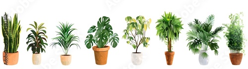 set of various plants in pots illustration, green leaves plants vector art style .different types of houseplants in the plant pot. 