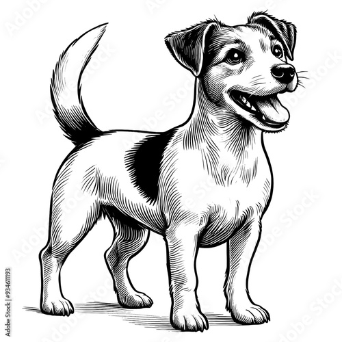 Hand drawn Cute Jack Russell dog in full-body, vector sketch isolated on white background.	