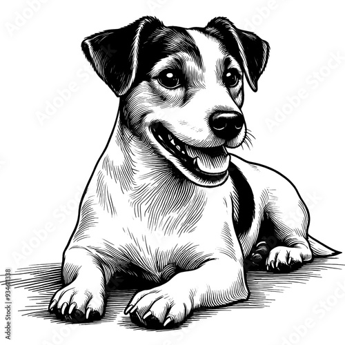 Hand drawn Cute Jack Russell dog in full-body, vector sketch isolated on white background.	