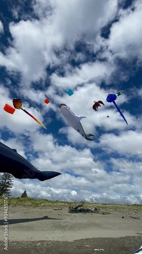 Vibrants and Colorful kites surfing on the beautiful blue sky at Otaki beach, New Zealand 
