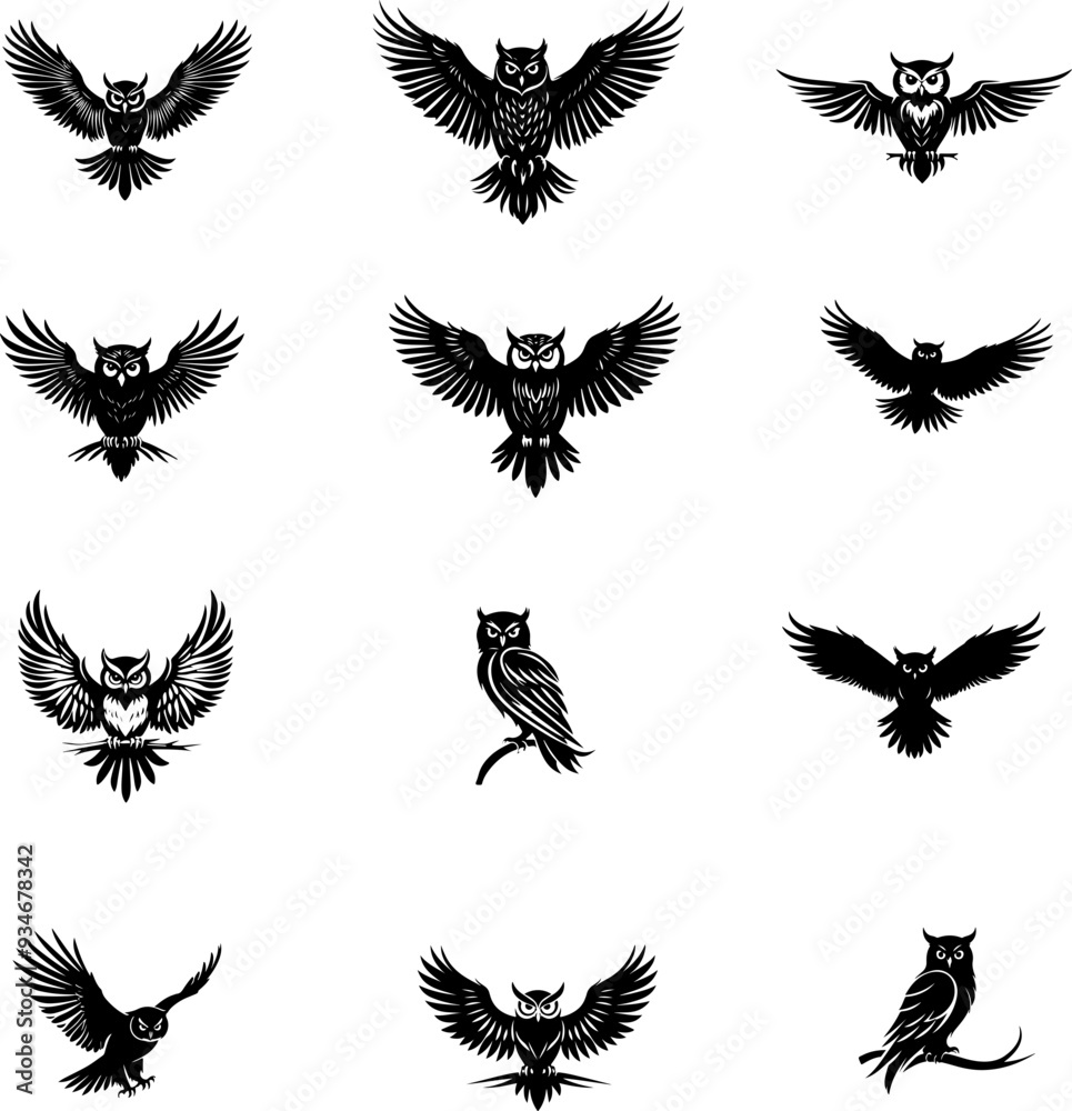 Obraz premium Hibou ou chouette, silhouette et line art isolé, en set pour halloween, vecteur noir fond transparent. Idéal composition logo, livre, illustration, page.