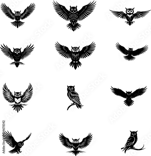 Hibou ou chouette, silhouette et line art isolé, en set pour halloween, vecteur noir fond transparent. Idéal composition logo, livre, illustration, page. 