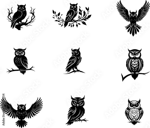 Hibou ou chouette, silhouette et line art isolé, en set pour halloween, vecteur noir fond transparent. Idéal composition logo, livre, illustration, page. 