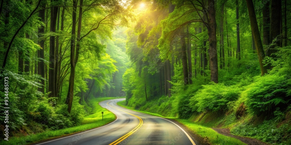 Fototapeta premium Road winding through lush green forest, forest, road, trees, nature, landscape, scenic, wilderness, environment, outdoor