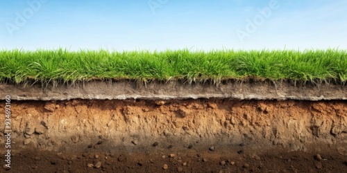 Underground soil layer cross section showcasing erosion ground topped with grass, underground, soil layer, cross section