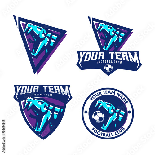 Set of badges and labels viper for team football