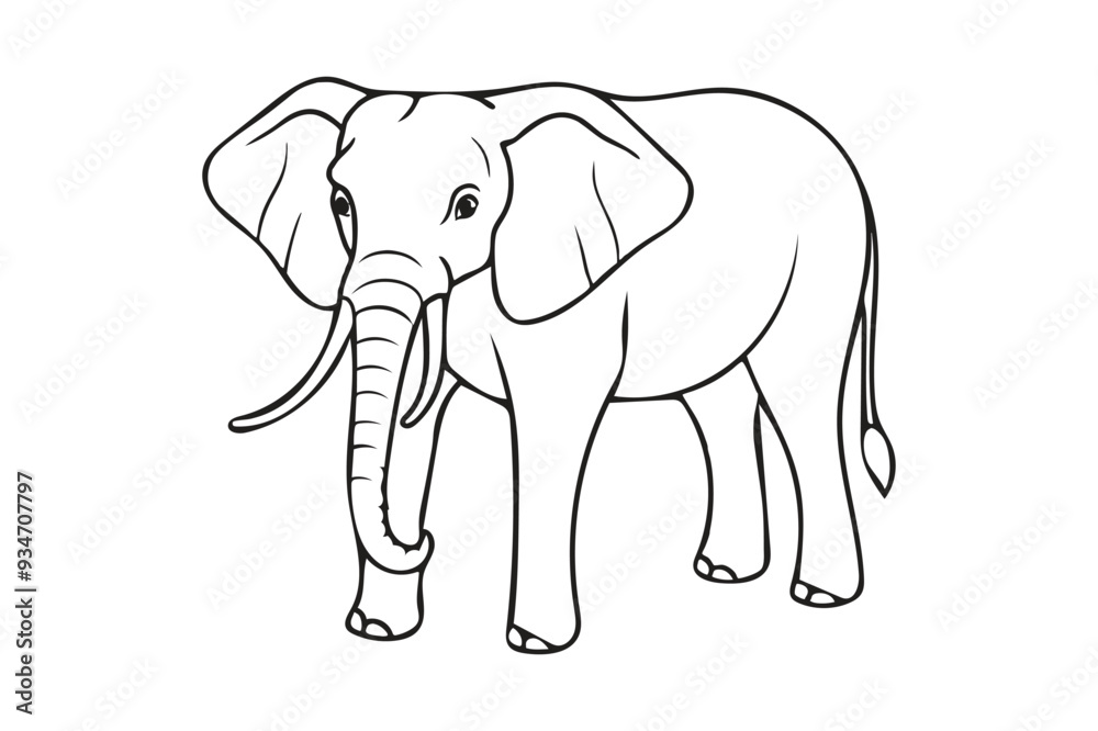 Fototapeta premium elephant illustration line art