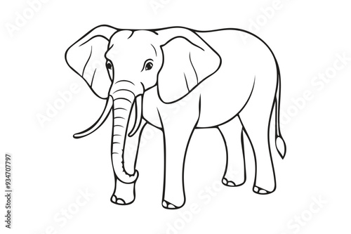 elephant illustration line art