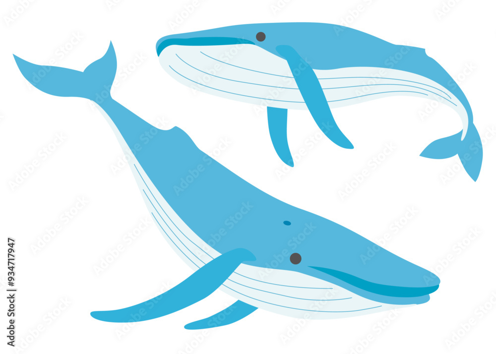 Obraz premium クジラ シンプルイラスト01