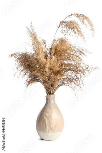 Vase with dry common reeds isolated on white background photo