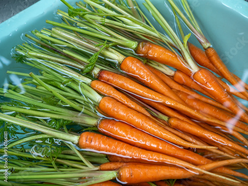 The Baby carrot soke and wash in the water photo