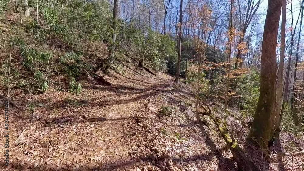 Open Sunny Trail in the Smokies in late fall Open Sunny Trail in the Smokies in late fall