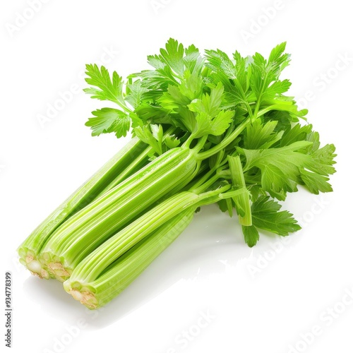 Fresh green celery isolated on white