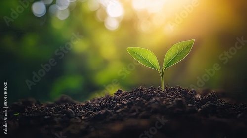 Stages of Plant Growth in a Green, growth success business development concept.