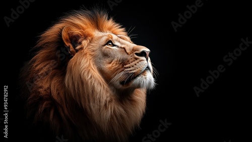 Wallpaper Mural Lion against an isolated background, with its detailed mane and powerful form clearly displayed in a minimalistic setup. Torontodigital.ca