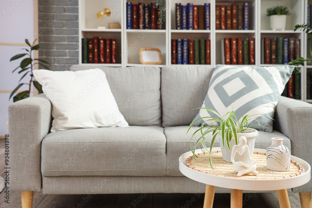 Interior of modern living room with grey sofa and bookshelf Interior of modern living room with grey sofa and bookshelf