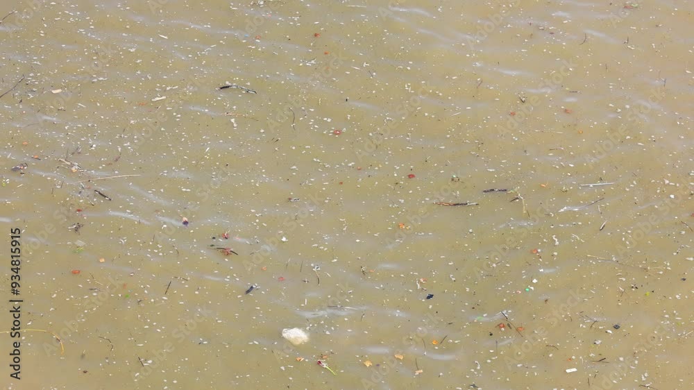 Floating Object in River Floating Object in River
