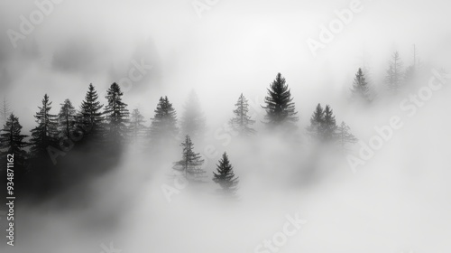 Misty Forest Serenity, a hauntingly beautiful black and white depiction of a fog-enshrouded forest, evoking a sense of tranquility and mystery in nature's embrace.