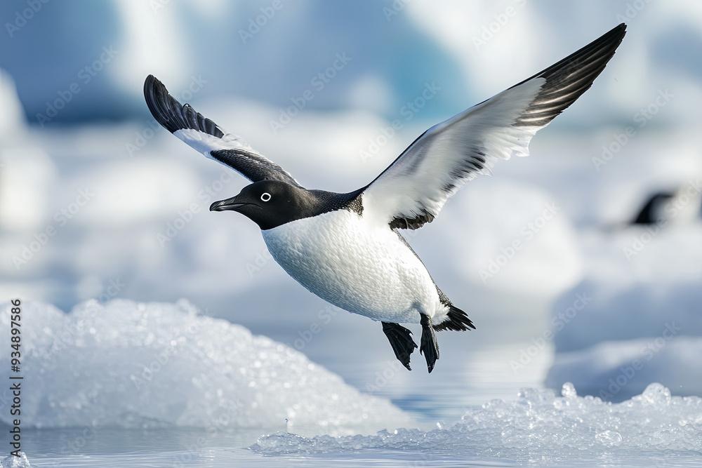 Study on the effects of climate change on migratory species Study on the effects of climate change on migratory species