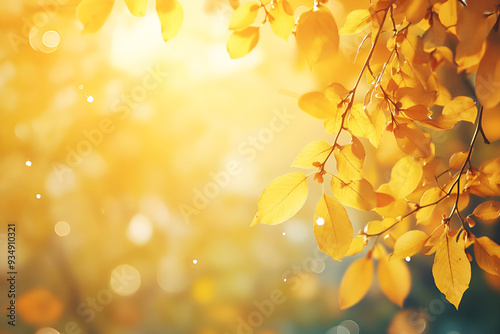 Sunlight glowing on golden yellow autumn leaves on a branch with a blurred background.