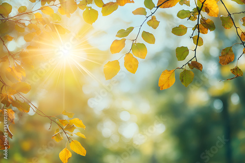 Autumn background with blurred bokeh of autumn leaves on tree branch in park