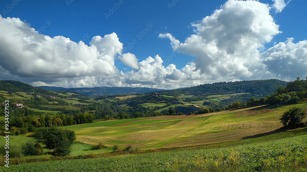 Fototapeta premium landscape