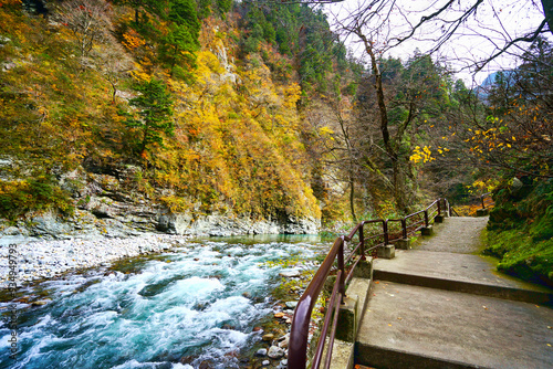 Beautifully colored streams in nature beside the nature walkway in Kurobe gorge,Toyama in Japan. photo