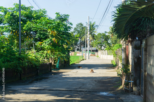 フィリピンの田舎道