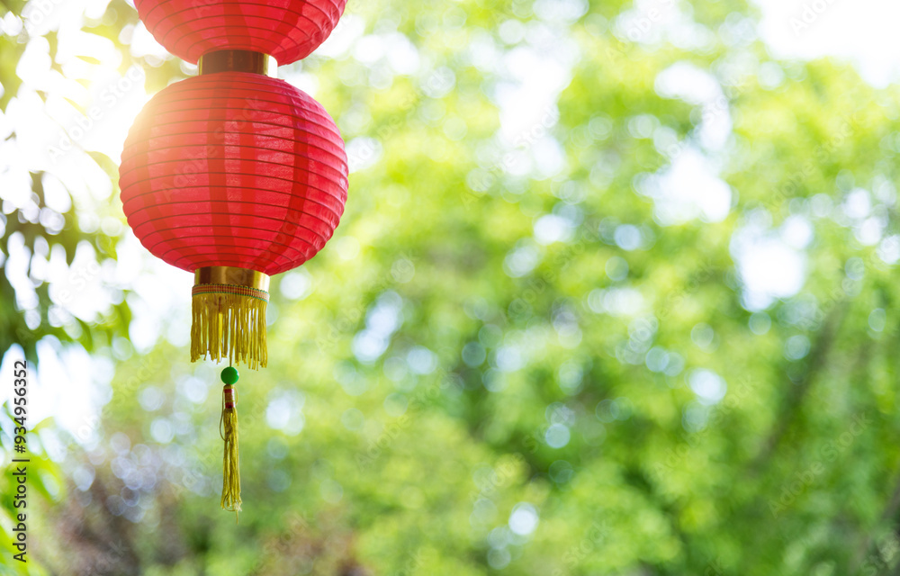 Obraz premium String red lanterns hanging on tree