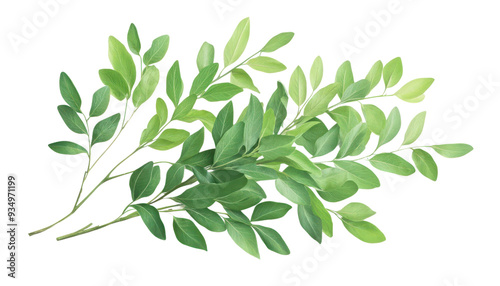 A vibrant green leaf branch ideal for nature-themed designs, backgrounds, and botanical illustrations.