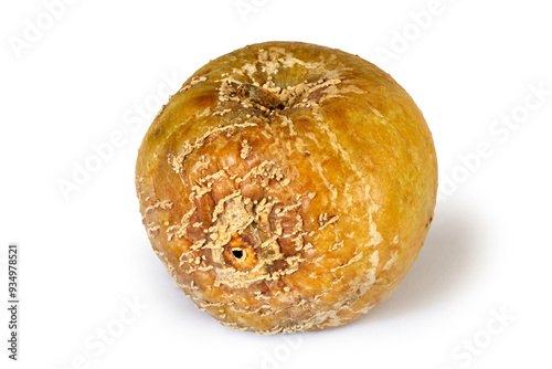 A rotten wormy apple on a white background. A close-up of an apple with a shadow. photo