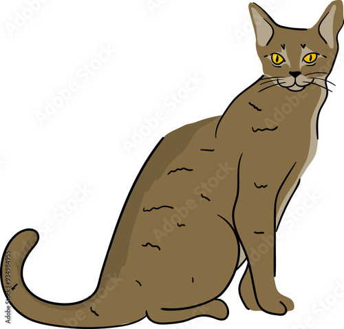 Illustration of a Abyssinian Cat