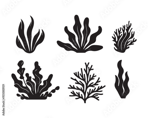 Set of sea corals and seaweed black silhouette. Aquarium plants, underwater ocean flora, algae. Vector illustration isolated on white background. ,Coral reef black silhouettes