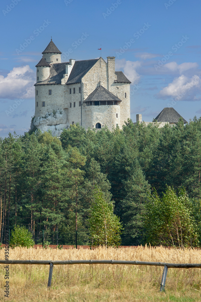 Medieval gothic royal Bobolice Castle located on the Polish Jurassic Highland, Bobolice Castle, Silesia, Poland