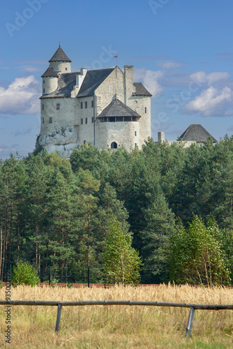 Medieval gothic royal Bobolice Castle located on the Polish Jurassic Highland, Bobolice Castle, Silesia, Poland