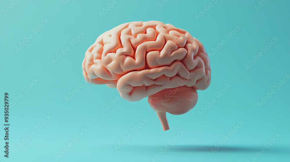 Simple brain background Simple brain background