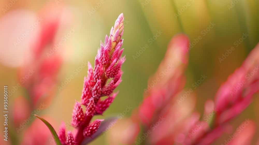 A pink flower, closely framed, surrounded by a hazy foreground of pink and green blooms, and a distant, softly-focused backdrop of pink flowers A pink flower, closely framed, surrounded by a hazy foreground of pink and green blooms, and a distant, softly-focused backdrop of pink flowers