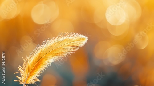  A tight shot of a yellow feather against a softly blurred background, featuring a distinct bokeh of light in the foreground photo