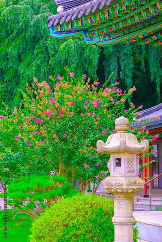 Wallpaper Mural Crape Myrtle Flowers in Full Bloom at the Temple: A Serene Nature Scene Torontodigital.ca