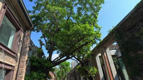 Alleys of the Art District, Pier-2 Art District, Kaohsiung, Taiwan / 芸術特区の路地　駁二藝術特區　高雄　台湾