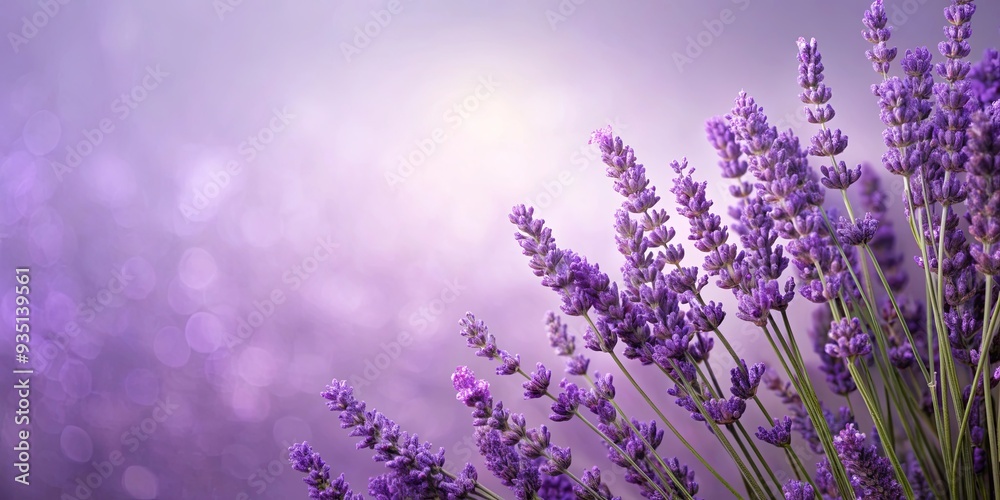 Naklejka premium Serene lavender background for elegant product showcasing