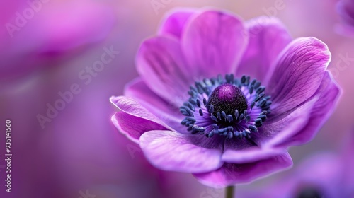 Wallpaper Mural  A tight shot of a purple bloom, brimming with numerous petals In the heart of these petals lies the flower's core Torontodigital.ca