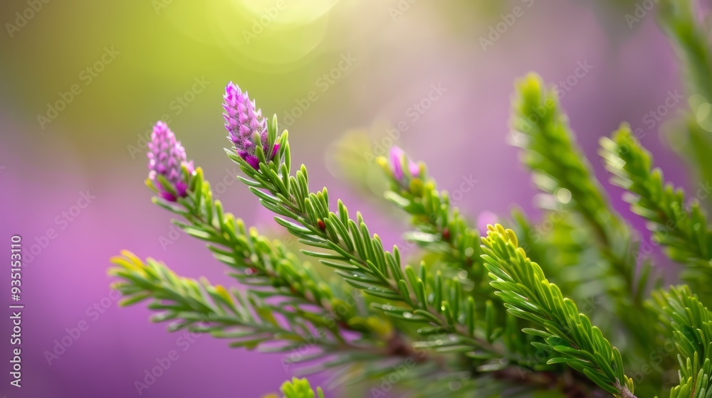 A tight shot of a tree branch showcasing purple blossoms in the front, with a softly blurred background A tight shot of a tree branch showcasing purple blossoms in the front, with a softly blurred background
