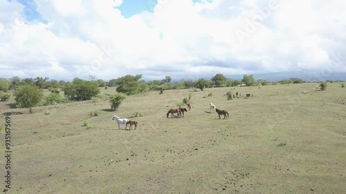 beautiful savana at doro ncanga geopark, bima west nusa tenggara indonesia. beautiful savana view with travel concept. drone view savana  photo