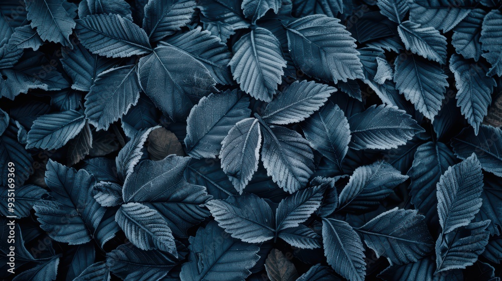 Close-Up of Dark Blue Leaves Creating a Moody and Atmospheric Natural Background Close-Up of Dark Blue Leaves Creating a Moody and Atmospheric Natural Background