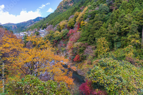 日本の風景・秋　東京都奥多摩町　紅葉の氷川渓谷